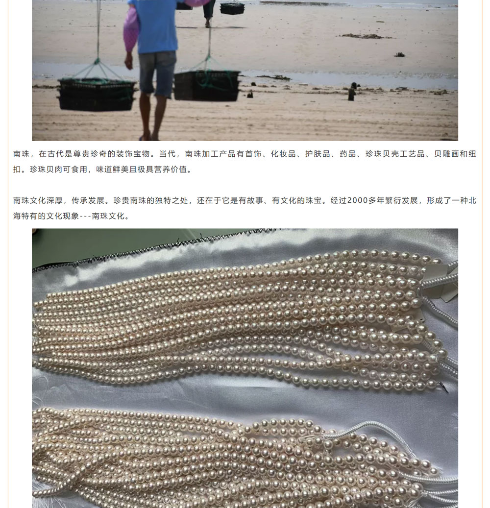 古老南珠，綻放異彩