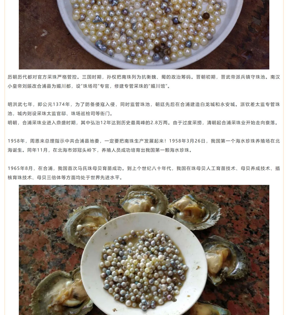 古老南珠，綻放異彩