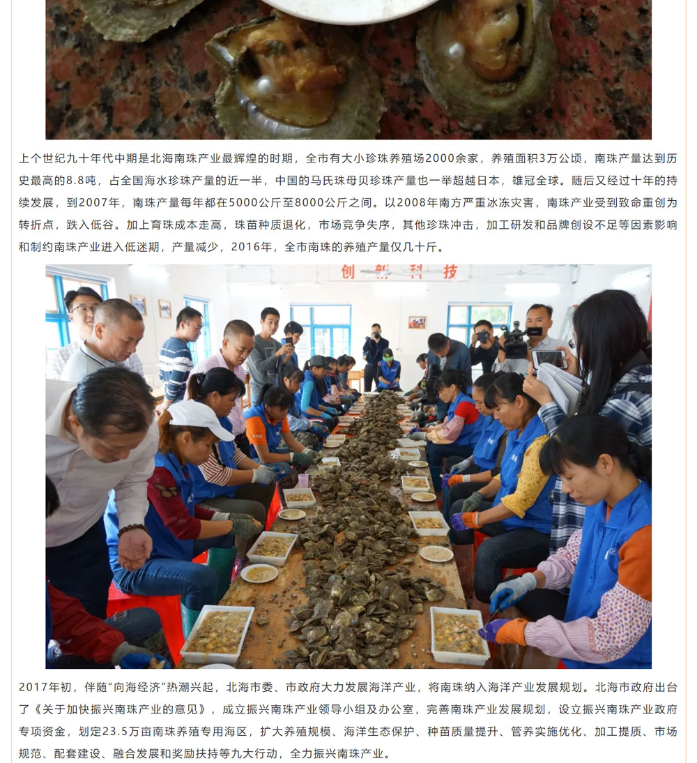 古老南珠，綻放異彩