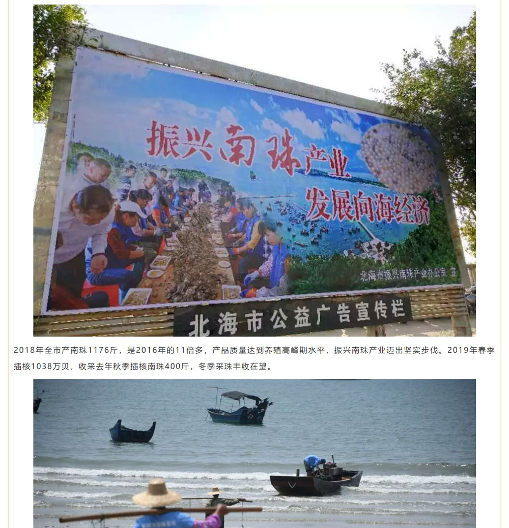 古老南珠，綻放異彩